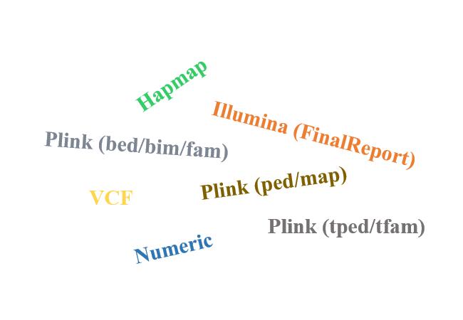 Format Conversion